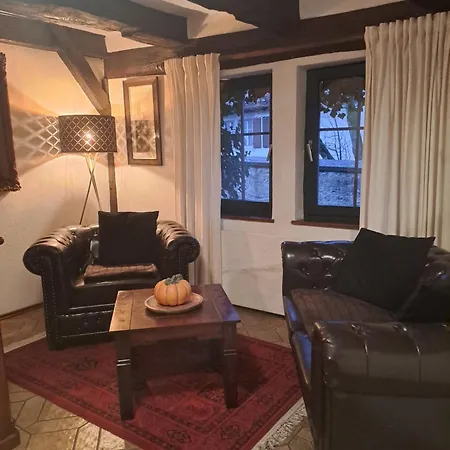 艾尔弗拉恩基斯克葡萄酒馆酒店 3* 罗滕堡